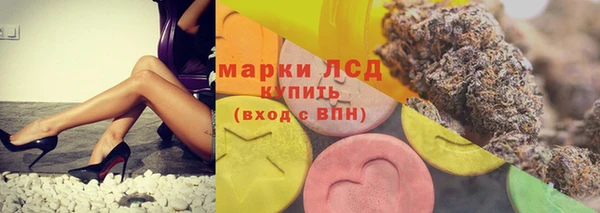 индика Беломорск