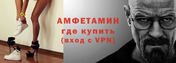 индика Беломорск