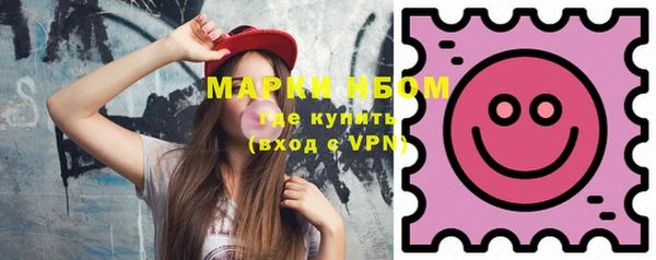 индика Беломорск