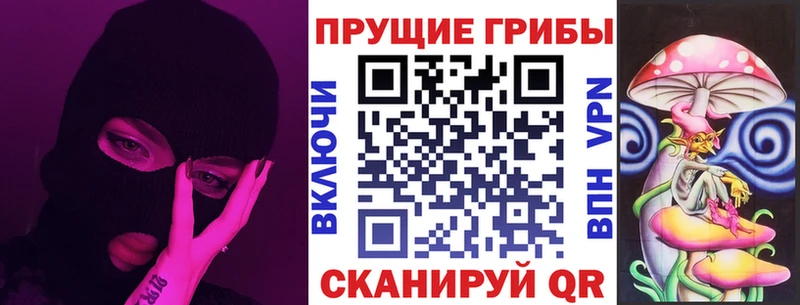 Купить где  Петухово  Галлюциногенные грибы Psilocybe 
